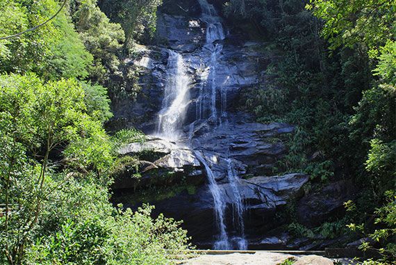 Bild Parque da Tijuca 1 - Cascata