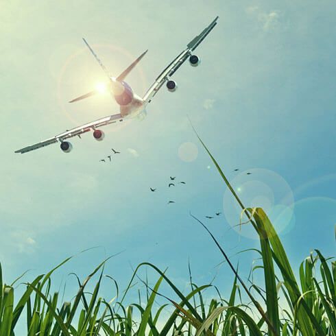 Flüge vergleichen & Flug buchen